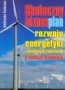 Skuteczny biznesplan rozwoju energetyki z odnawialnych źródeł energii a Świerszcz Katarzyna