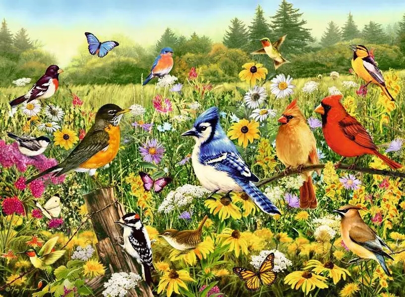 Ravensburger, Puzzle 500: Ptaki (12000336)