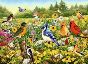 Ravensburger, Puzzle 500: Ptaki (12000336)