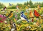 Ravensburger, Puzzle 500: Ptaki (12000336)