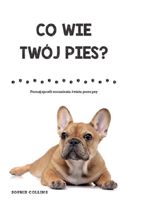 Co wie Twój pies?