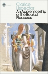 An Apprenticeship or The Book of Pleasures wer. angielska Clarice Lispector