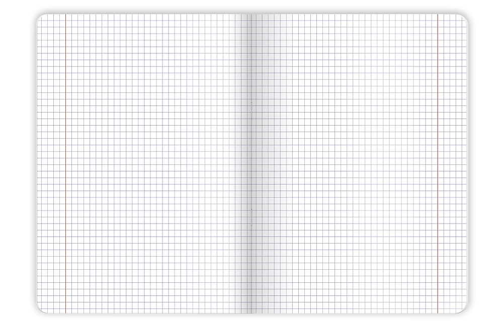 Zeszyt Top 2000 Botany A5/96k kratka z marginesem, 1 szt