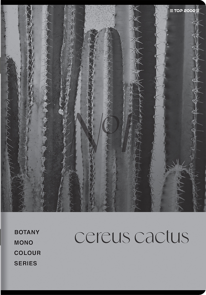 Zeszyt Top 2000 Botany A5/96k kratka z marginesem, 1 szt