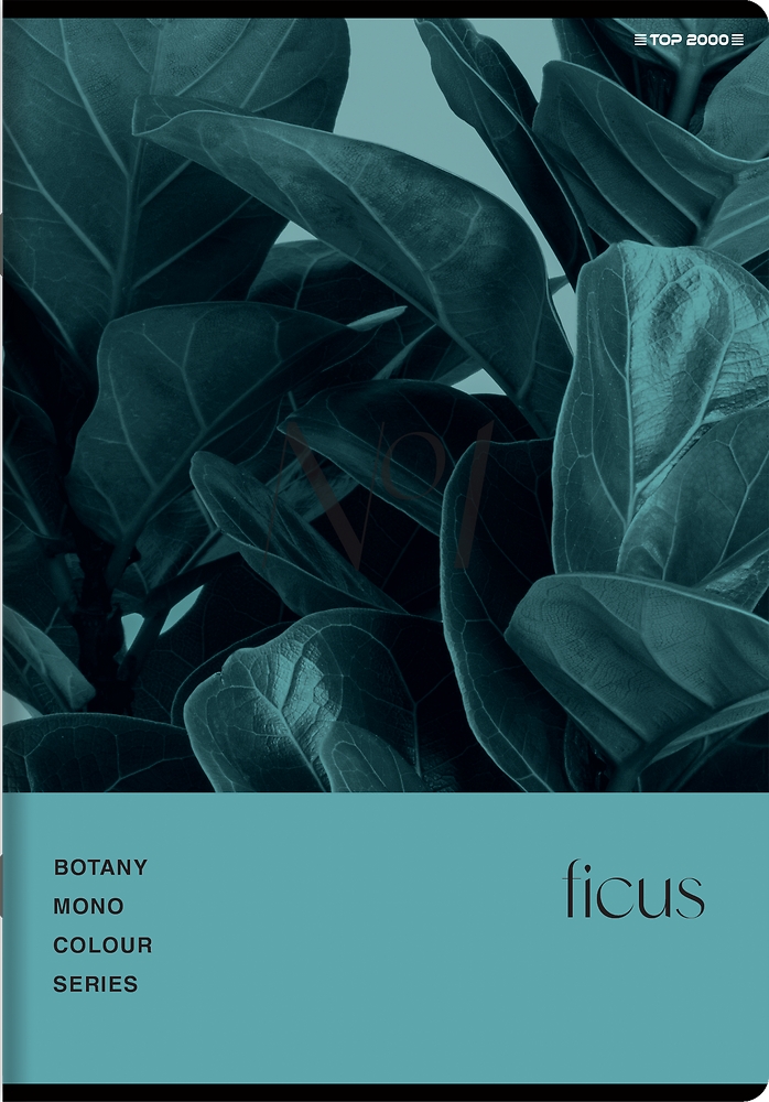 Zeszyt Top 2000 Botany A5/96k kratka z marginesem, 1 szt