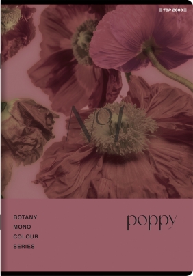 Zeszyt Top 2000 Botany A5/96k kratka z marginesem, 1 szt