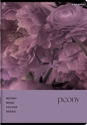Zeszyt Top 2000 Botany A5/96k kratka z marginesem, 1 szt