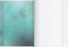 Zeszyt Top 2000 Botany A5/96k kratka z marginesem, 1 szt