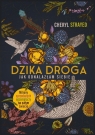 Dzika droga. Jak odnalazłam siebie Cheryl Strayed