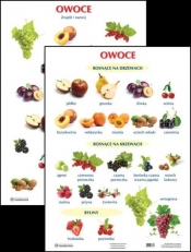 Plansza Owoce