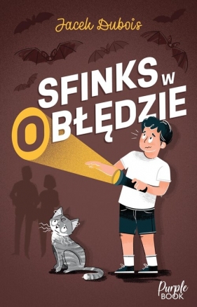 Sfinks w (o)błędzie - Jacek Dubois