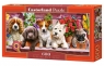 Puzzle 600 Puppies on a Shelf (B-060368)
