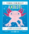Axolotl. Young Zoologist Jessica L. Whited, Neon Squid