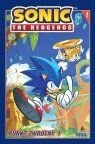 Sonic the Hedgehog 1. Punkt zwrotny 1 Ian Flynn, Tracy Yardley, Adam Bryce Thomas