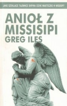 Anioł z Missisipi - Iles Greg
