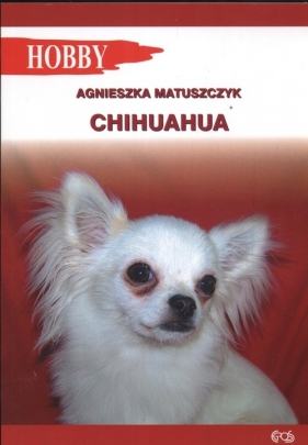 Chihuahua - Matuszczyk Agnieszka