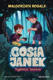 Gosia i Janek. Tajemnicze kamienie - Małgorzata Rogala