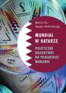 Mundial w Katarze: Polityczne rozgrywki na piłkarskiej murawie Fic Marcin, Hetmańczyk Kacper