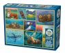 Puzzle 500 Zwierzęta Alaski 113771 10+