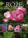 Róże w twoim ogrodzie  Markley Robert