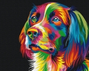 Obraz Malowanie po numerach - Pies w kolorach (BS5251)