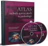 Atlas technik operacyjnych w proktologii (Uszkodzona okładka) Małgorzata Kołodziejczak, Przemysław Ciesielski