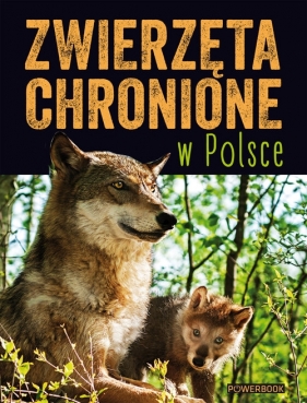 Zwierzęta chronione w Polsce - Weber Sylwia