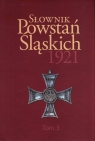 Słownik Powstań Śląskich 1921 Tom 3 / Instytut