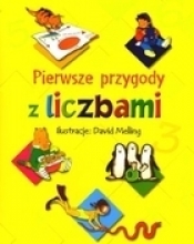 Pierwsze przygody z liczbami - Peter Patilla