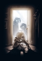 Krampus. Cienie. Tom 3 - Timo Parvela