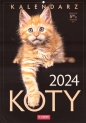 Kalendarz 2024 A4 - Koty