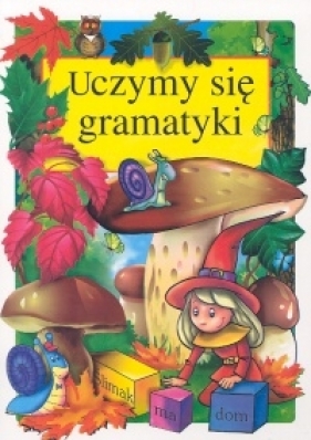 Uczymy się gramatyki - Klimkiewicz Danuta, Kwiecień Maria