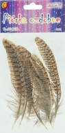 Piórka 10-15cm 8szt