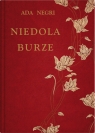 Niedola burze Ada Negri .