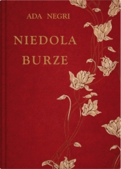Niedola burze