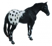 Ogier rasy Appaloosa kary (004-88437)