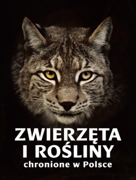 Zwierzęta i rośliny chronione w Polsce - Izabella Sieńko-Holewa, Sylwia Weber