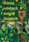 Ochrona ozdobnych krzewów liściastych