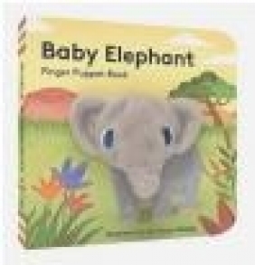 Baby Elephant