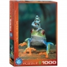  Puzzle 1000 Red-Eyed Tree Frog 6000-300412+