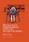 Edukacyjne przestrzenie sytuacji trudnych dzieci