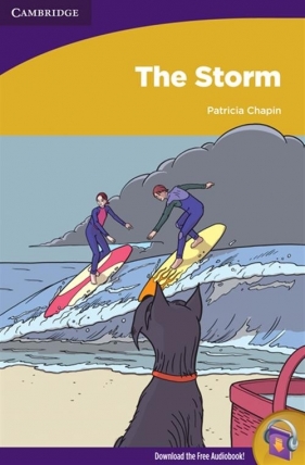 The Storm - Chapin Patricia