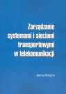 Zarządzanie systemami i sieciami transportowymi w telekomunikacji  Jędrzej Brożyna