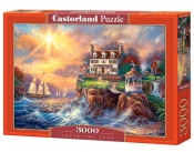 Puzzle Above the Fray 3000 (300372)