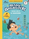  Mały Sherlock. Wielka akcja w aquaparku