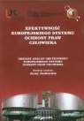 Efektywność europejskiego systemu ochrony praw człowieka Obszary