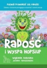 Radość i wyspa Hop-Siup (wyd. 2020) Kołyszko Wojciech, Tomaszewska Jovanka