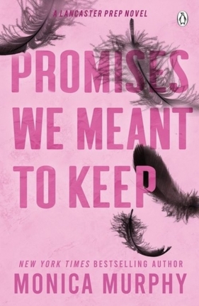 Promises We Meant To Keep - Murphy Monica
