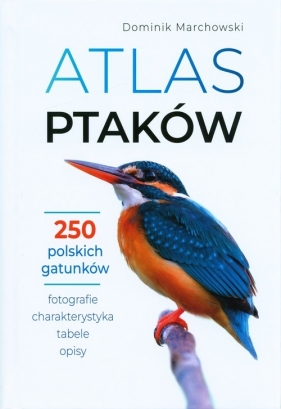 Atlas ptaków - Marchowski Dominik