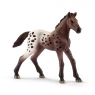 Schleich, źrebię rasy appaloosa (13862)